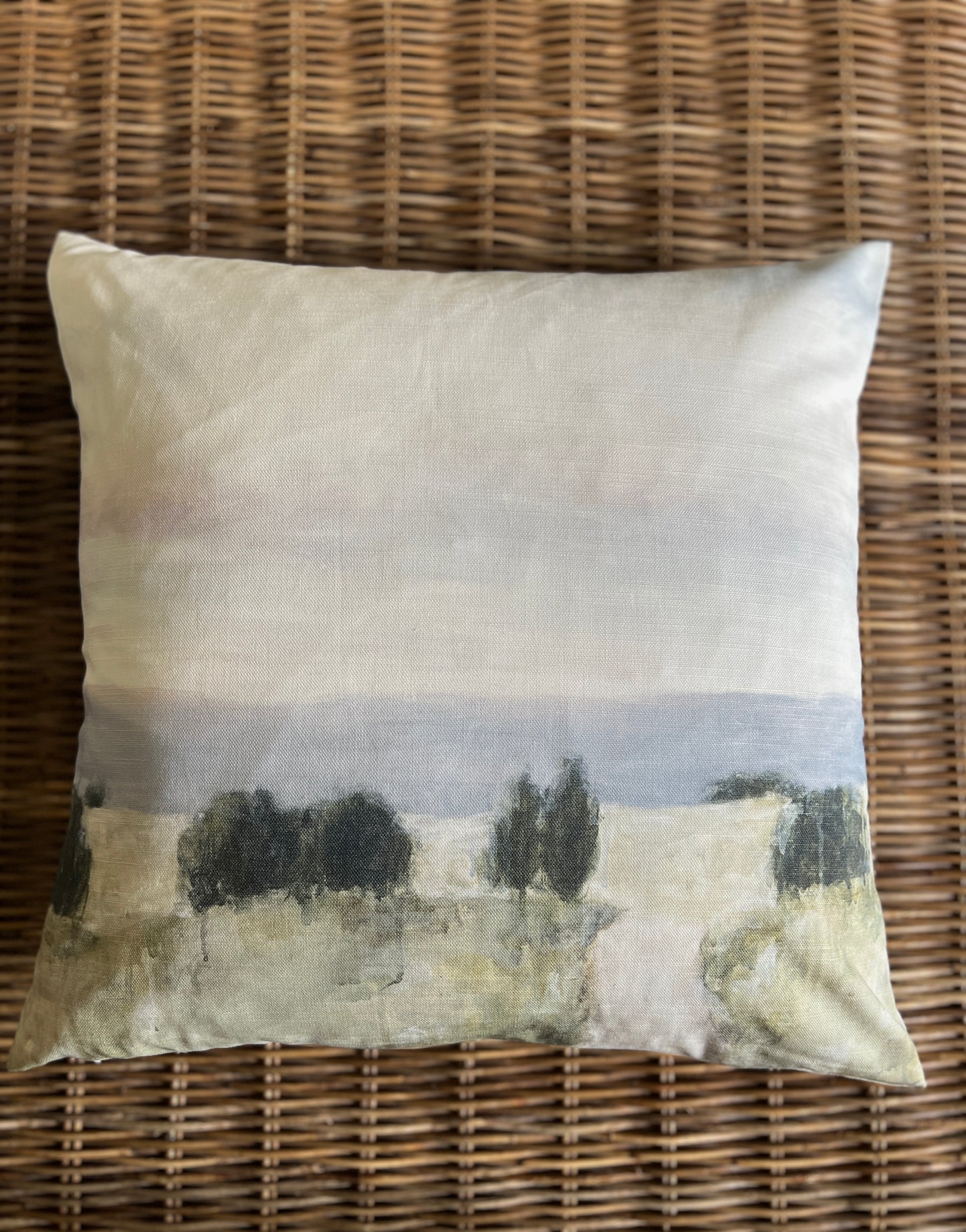 CountryDrive Cushion