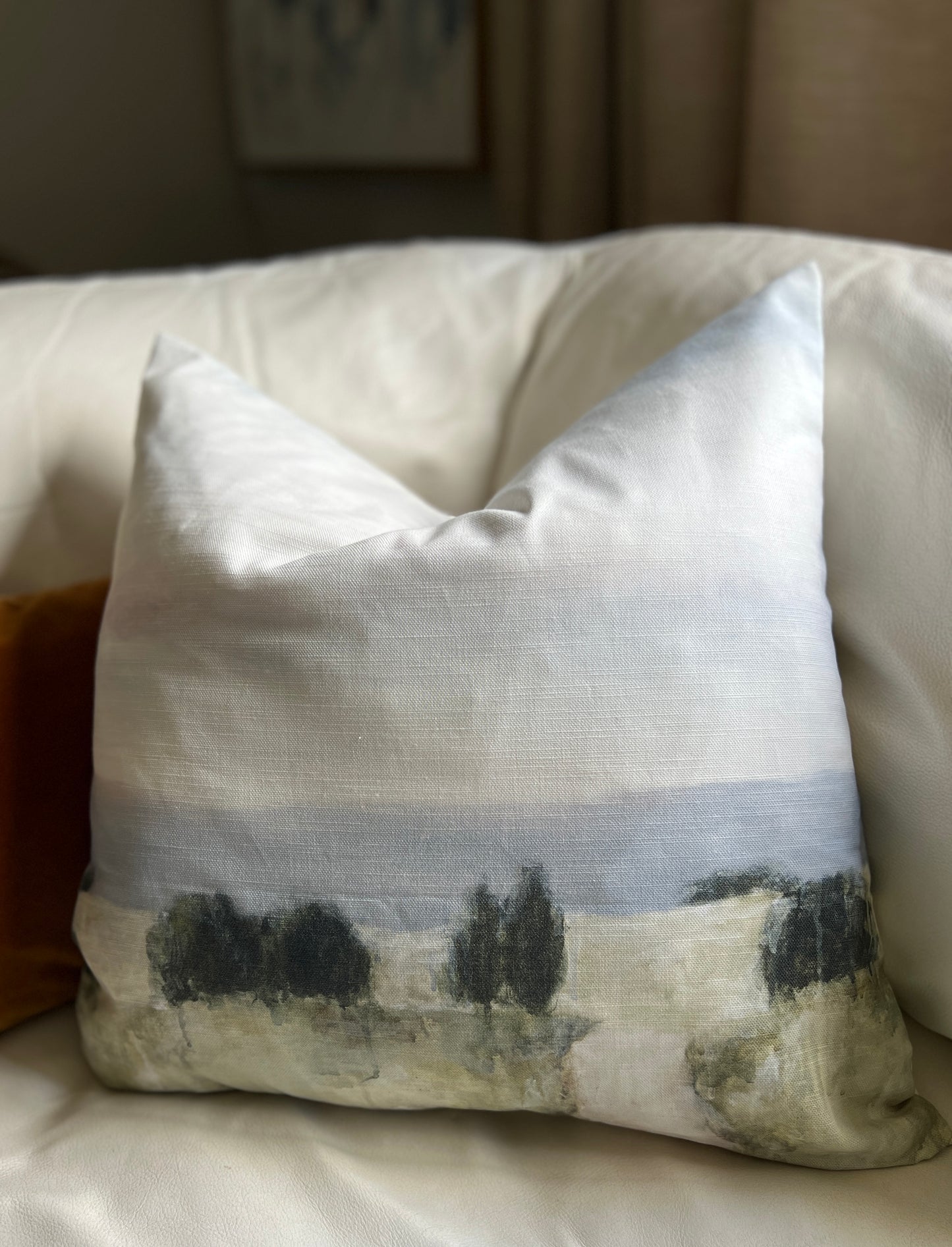 CountryDrive Cushion